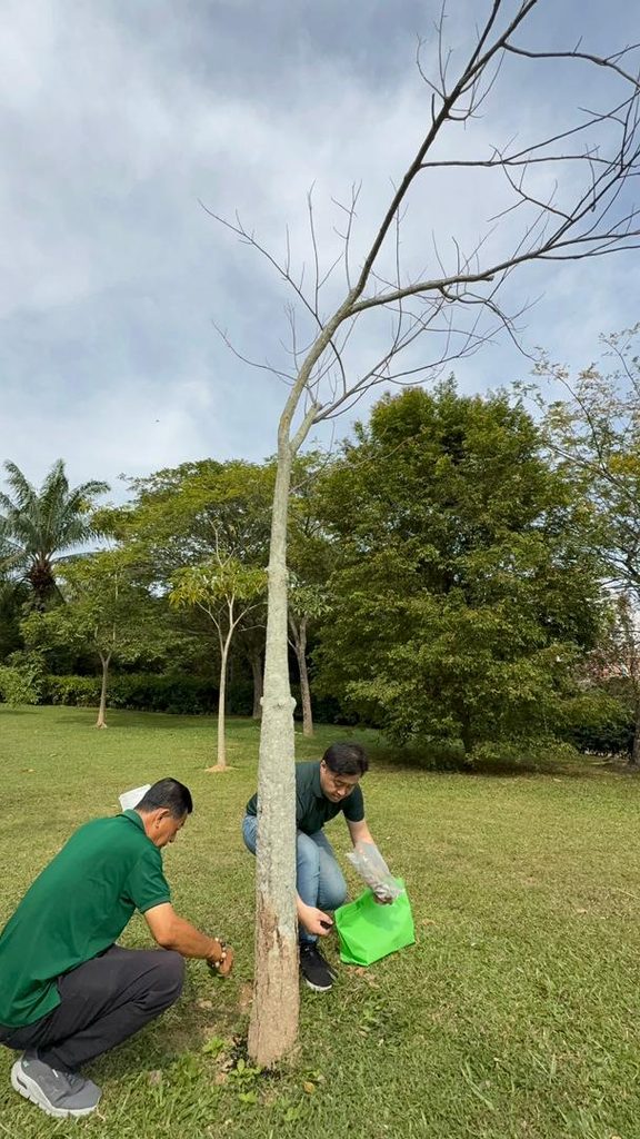 Volunteers caring for a tree during a community environmental activity in Malaysia