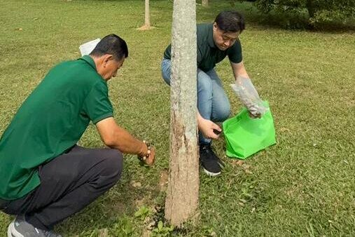 plant waste to biochar to boost soil 